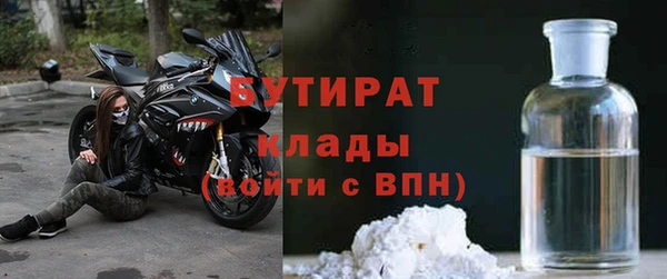 шишки Лабытнанги