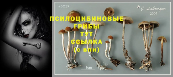 шишки Лабытнанги