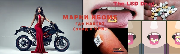шишки Лабытнанги
