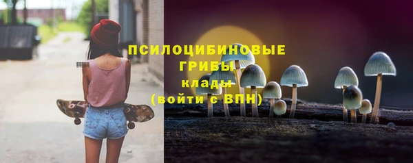 шишки Лабытнанги