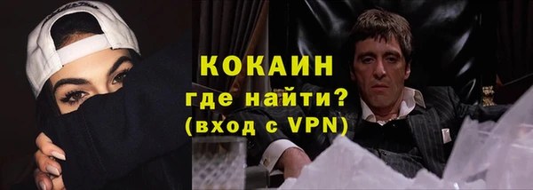 шишки Лабытнанги