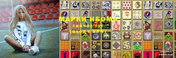 шишки Лабытнанги