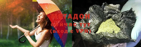 шишки Лабытнанги