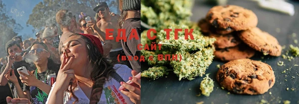 шишки Лабытнанги