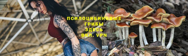 Альфа ПВП Лихославль