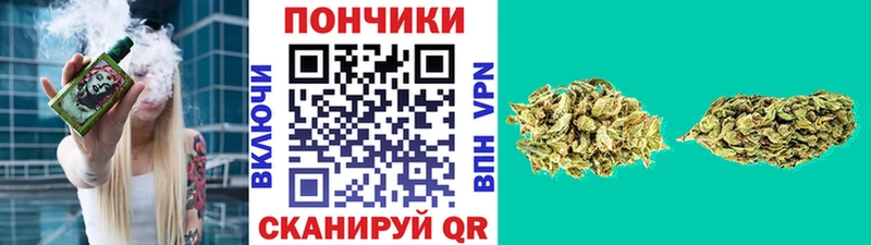 Купить закладки  Гремячинск  Бошки Шишки ГИДРОПОН 